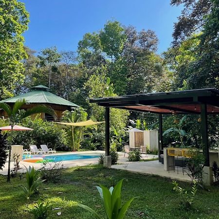 La Amapola Lodge, Bungalow En Peninsula De Osa. Barrigones المظهر الخارجي الصورة