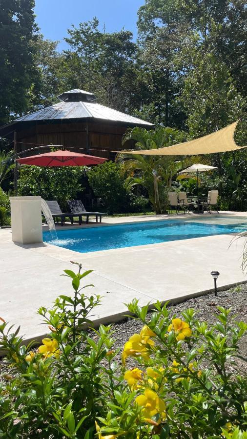La Amapola Lodge, Bungalow En Peninsula De Osa. Barrigones المظهر الخارجي الصورة