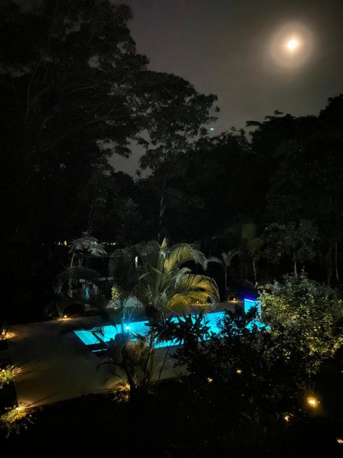 La Amapola Lodge, Bungalow En Peninsula De Osa. Barrigones المظهر الخارجي الصورة