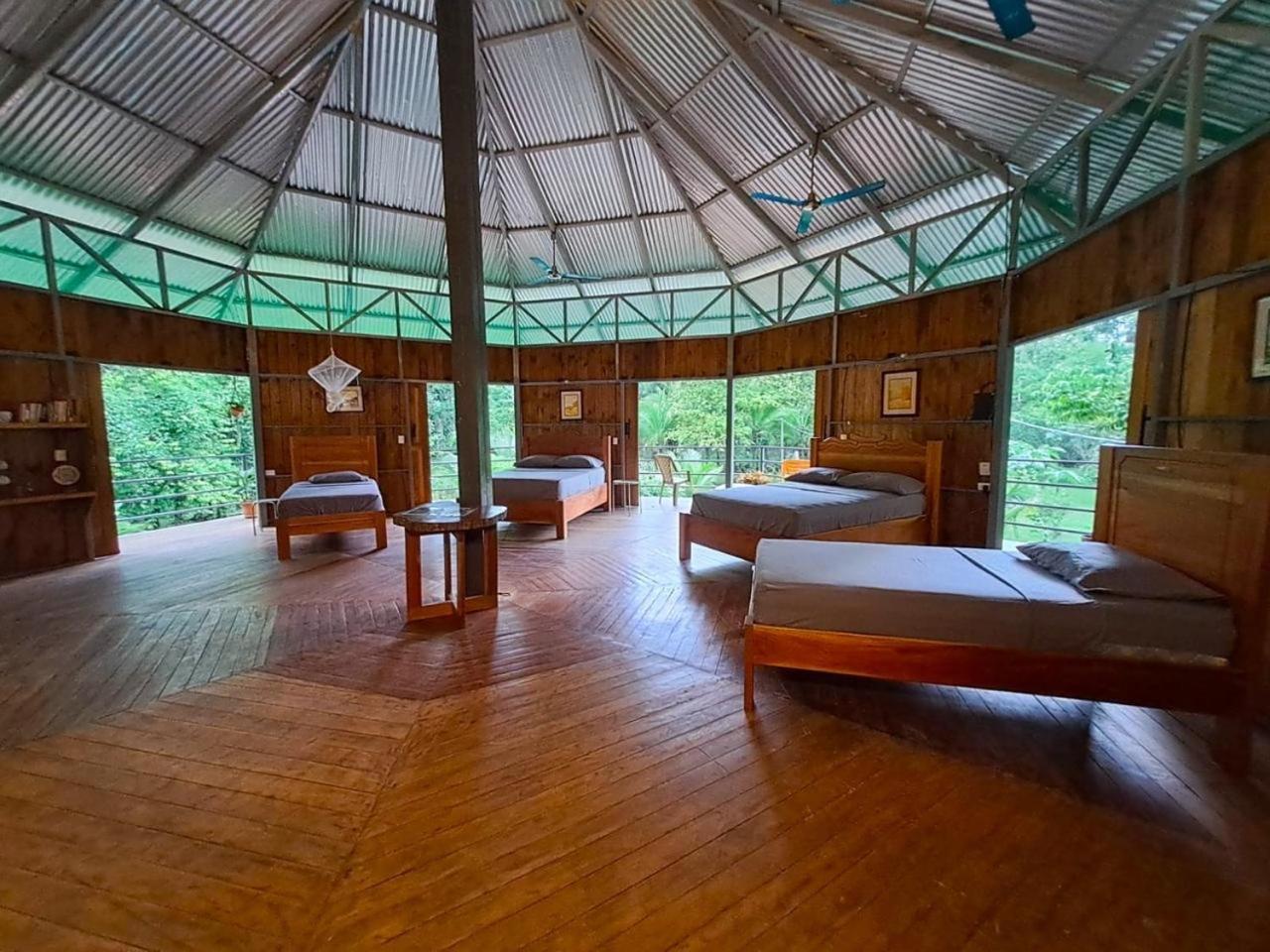 La Amapola Lodge, Bungalow En Peninsula De Osa. Barrigones المظهر الخارجي الصورة
